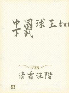 中国球王txt下载