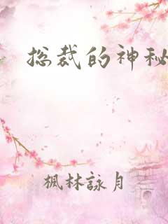 总裁的神秘情人