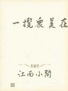 一揽众美在三国