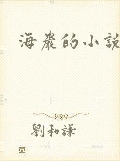 海岩的小说