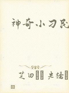 神奇小刁民
