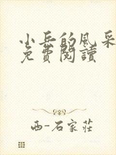 小兵的风采小说免费阅读