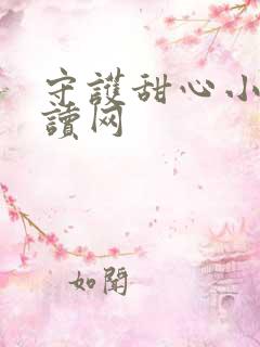 守护甜心小说阅读网