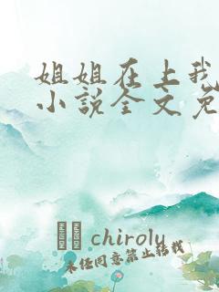 姐姐在上我在下小说全文免费阅读