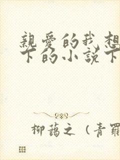 亲爱的我想你我下的小说下载