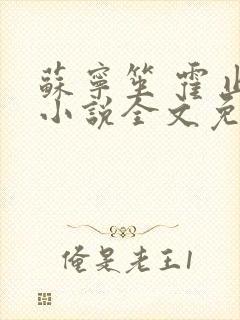 苏宁笙 霍止行小说全文免费阅读