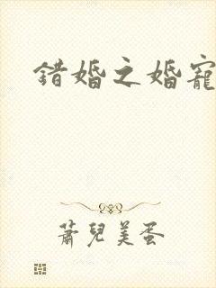 错婚之婚宠一世