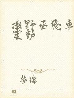 撒野丞飞车道具震动