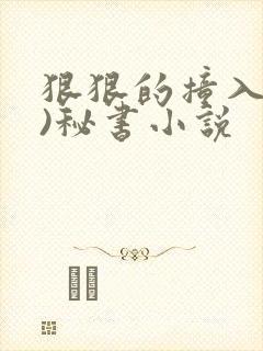 狠狠的撞入(h)秘书小说