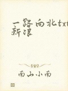 一路向北txt新浪