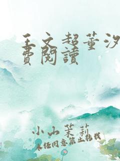 王文超董汐瑜免费阅读