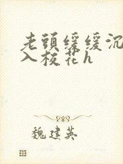 老头缓缓沉腰进入校花h