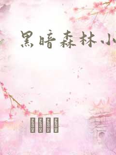 黑暗森林小说