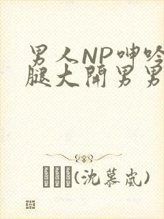 男人NP呻吟双腿大开男男小说
