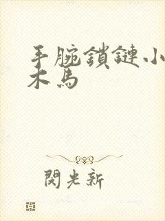 手腕锁链小黑屋木马