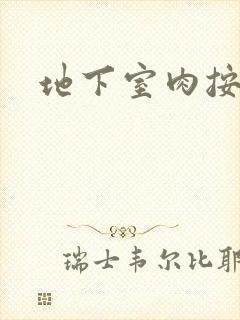 地下室肉按摩椅