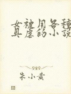 女被用各种性器具虐的小说