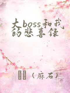 大boss和我的悲喜录