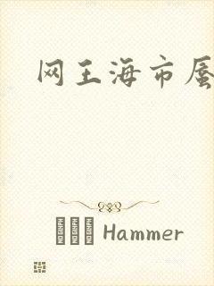 网王海市蜃楼