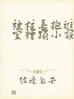 被校长抱进办公室糟蹋小说