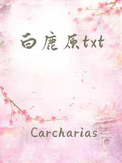 白鹿原txt