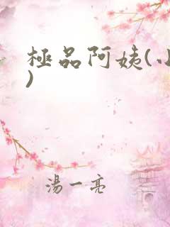 极品阿姨(小说)