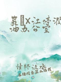 严峫X江停润滑油办公室