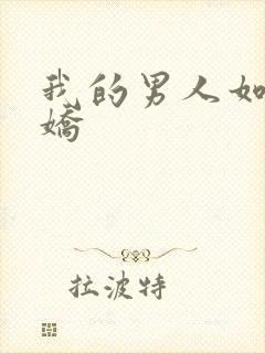 我的男人如此多娇