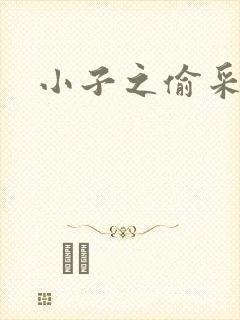 小子之偷采双圣