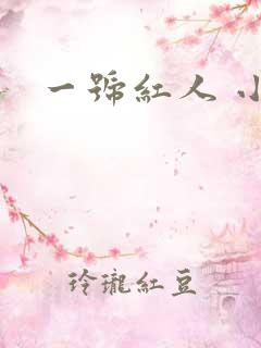 一号红人 小说