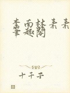 李南林素素小说笔趣阁