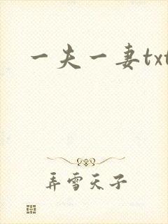 一夫一妻txt
