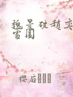 魏晨破赵奕欢的处图