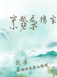 穿越成杨家将最小儿子