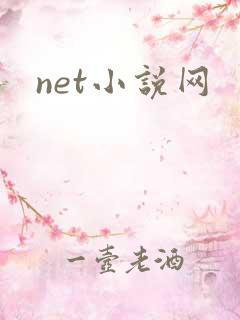 net小说网