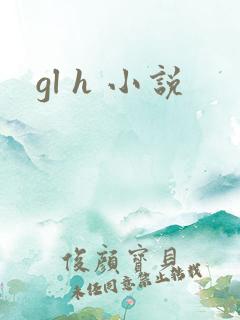 gl h 小说