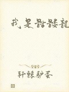 我是骷髅龙骑兵