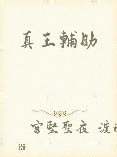 真王辅助