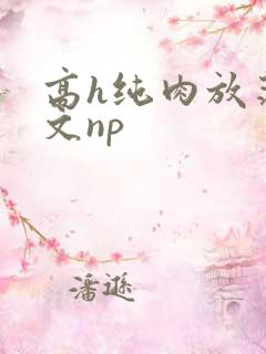 高h纯肉放荡h文np