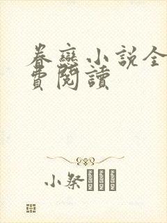 眷恋小说全文免费阅读