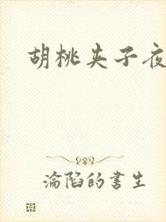 胡桃夹子夜未眠