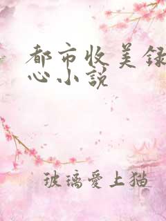 都市收美录宁素心小说