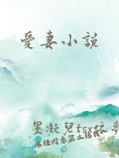 爱妻小说