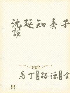 沈延知秦子卿小说