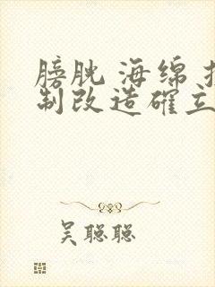 膀胱 海绵 控制改造确立m