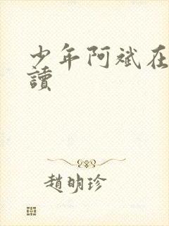 少年阿斌在线阅读