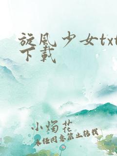 旋风少女txt下载