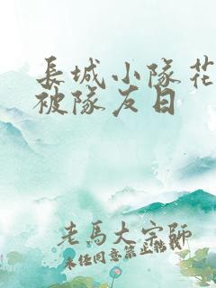 长城小队花木兰被队友日