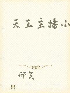 天王主播小说