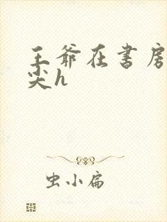 王爷在书房含乳尖h